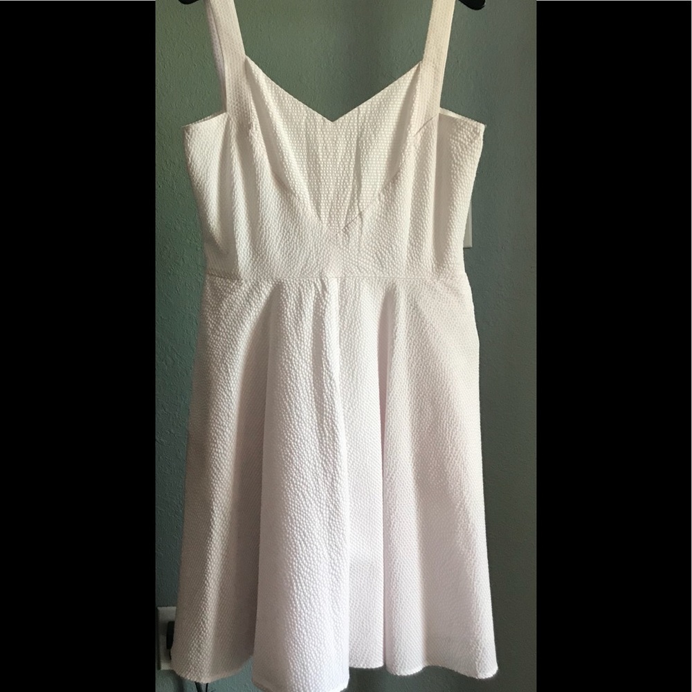 NWT Ann Taylor Dress